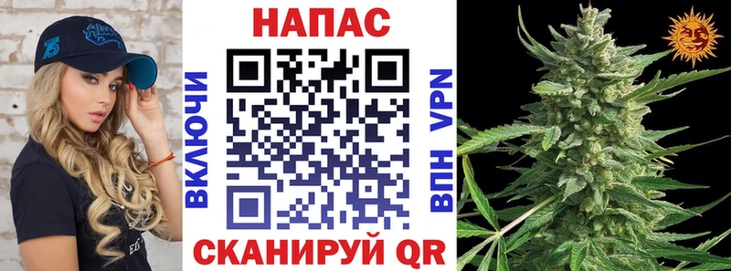 Канабис OG Kush  купить   Ковров 